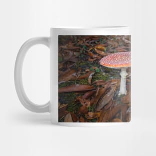 Fly agaric, Amanita muscaria Mug